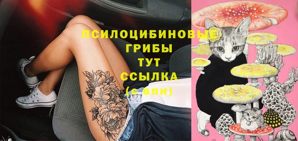 скорость Баксан