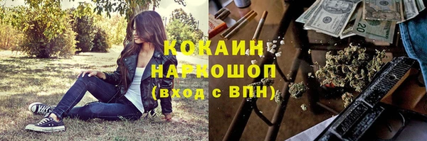 соль ск Новозыбков